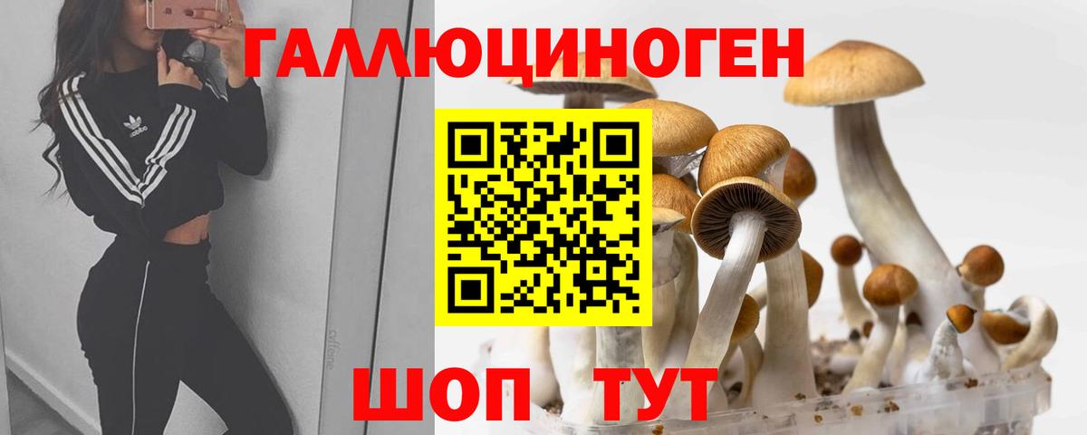 Галлюциногенные грибы Magic Shrooms  Псилоцибиновые грибы MAGIC MUSHROOMS  Вход с VPN  купить закладку  Нальчик 