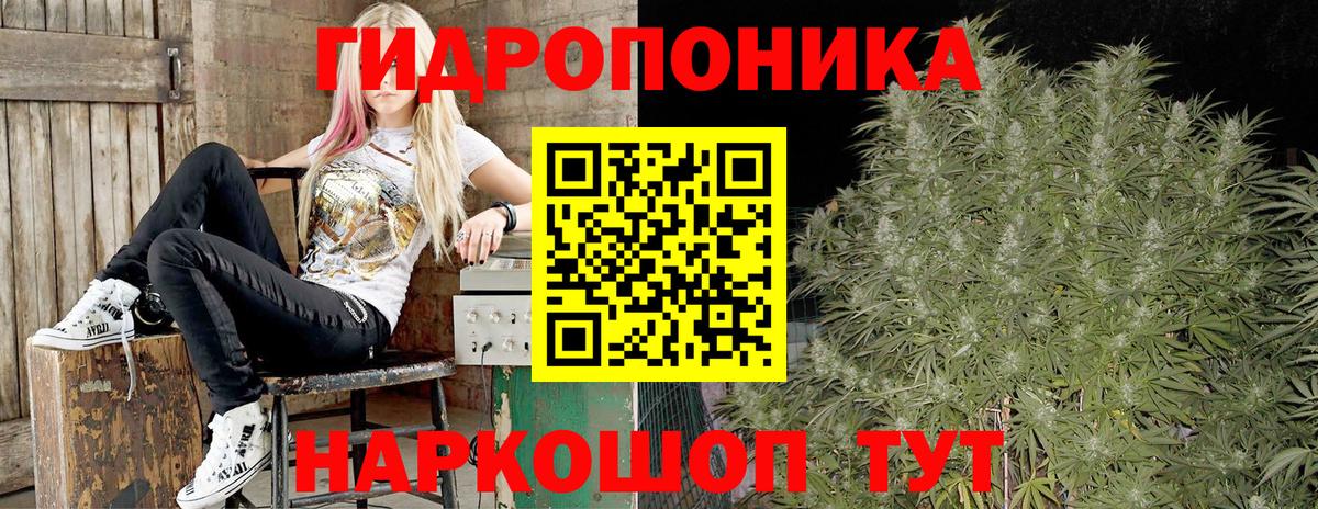 Бошки марихуана SATIVA & INDICA  Бошки Шишки сатива  Вход с VPN  Бошки Шишки MAZAR  Нальчик  Бошки Шишки VHQ 